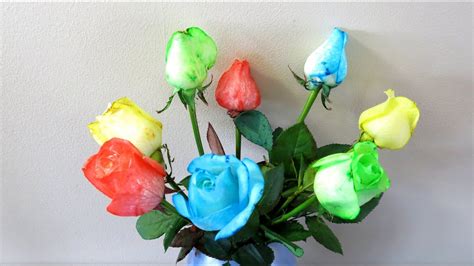 How To Make Rainbow Coloured Roses Youtube