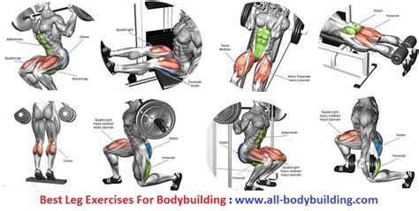 Best Leg Exercises For Bodybuilding Bodydulding