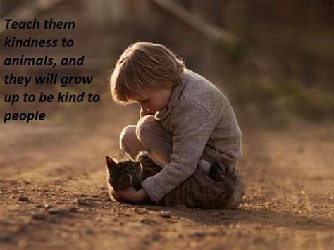 Quotes About Kindness Towards Animals Qeotus