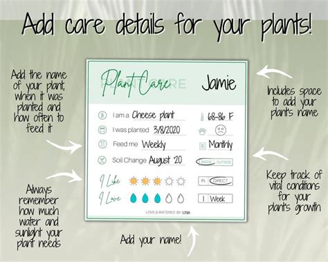 Plant Care Card Printable Plant Care Instructions Tag Digital Care