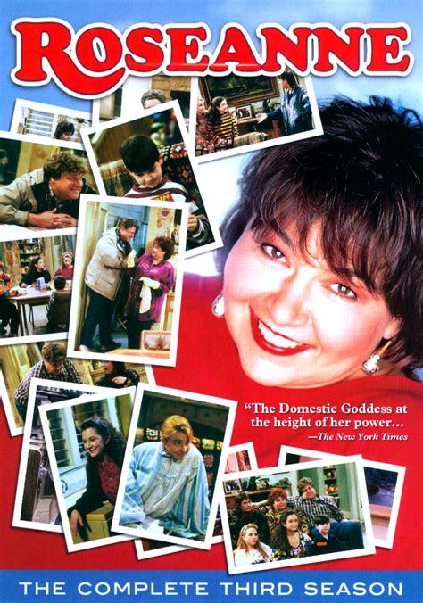 Best Buy Roseanne The Complete Third Season 3 Discs Dvd