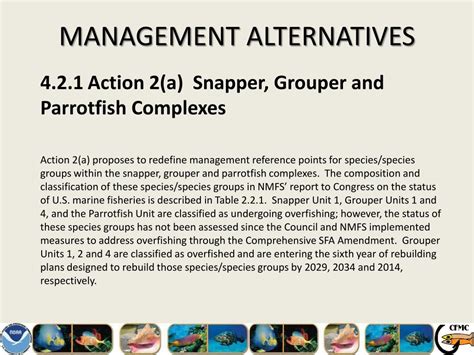 Ppt Management Alternatives Powerpoint Presentation Free Download