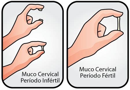 Muco cervical ABC do BEBÉ
