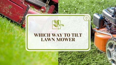 Which Way To Tilt Lawn Mower The Right Direction Evergreen Seeds
