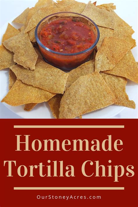 These Homemade Tortilla Chips Taste So Much Better Than Store Bought