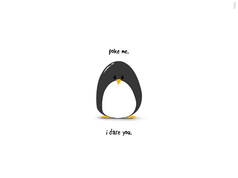 Free Download Cute Penguin Wallpapers Top Free Cute Penguin Backgrounds