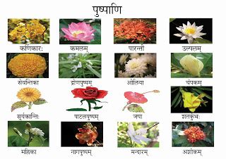 We did not find results for: संस्कृतसंजीवनी: FLOWERS NAMES IN SANSKRIT