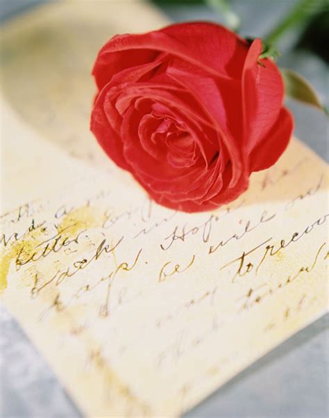 Valentines Day Poems For Him And Her Top 10 Romantic Wishes And