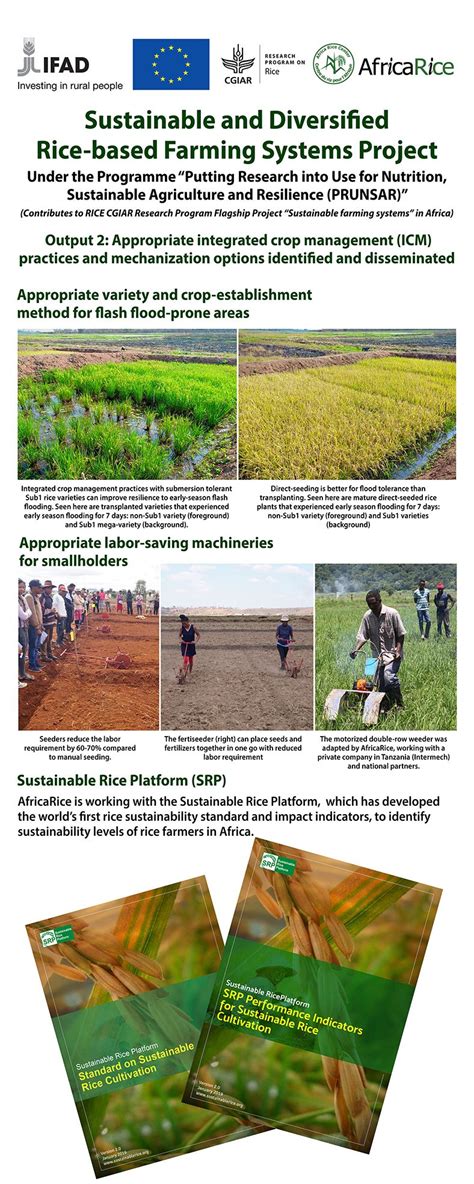 The 'Sustainable and Diversified Rice-based Farming ...