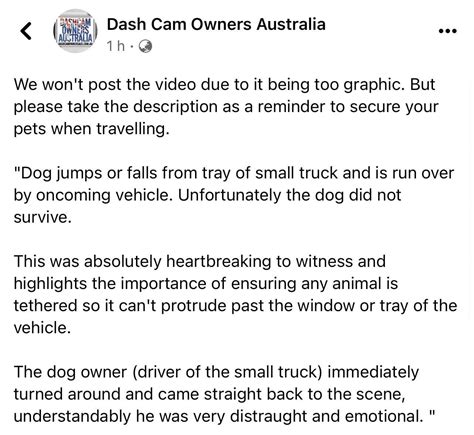 Aussie Pet Owners Please Watch Out For Your Mates Raustralia