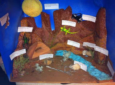 Desert Ecosystem Shadow Box Diorama Ecosystem Desert - vrogue.co