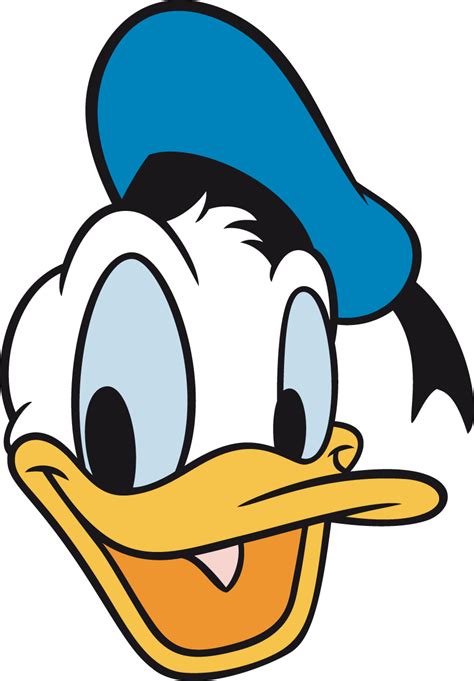Donald Duck Cartoon Bucket