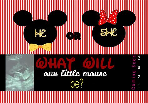 Minnie Mouse Gender Reveal Etsy