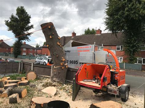 Your homeowners insurance policy may cover the expenses of tree removal and any necessary property repairs. Lime Tree Removal Didsbury, Manchester - 24.08.2017.