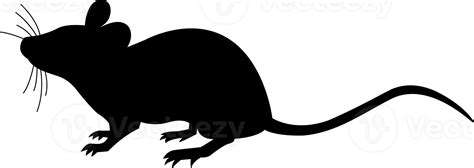 Rat Wild Animal Silhouette 27155028 Png