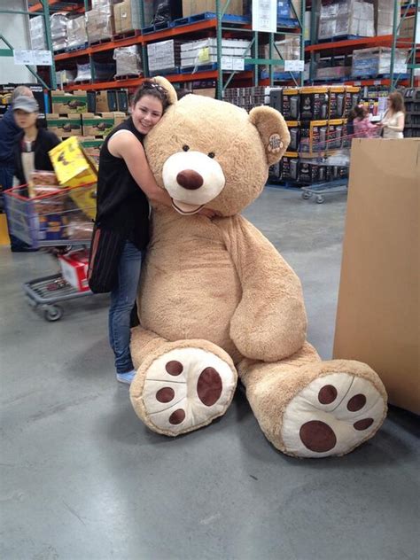 Giant Teddy Bear Costco Outlets Shop Save 59 Jlcatjgobmx