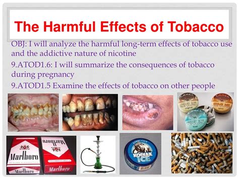Ppt The Harmful Effects Of Tobacco Powerpoint Presentation Free Download Id 1138833