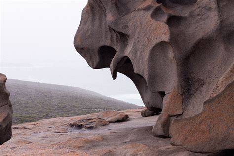 Kangaroo island is large in size, but there are about 4,500 inhabitants on the island. Kangaroo Island Remarkable Rocks | i Heart Alice ...