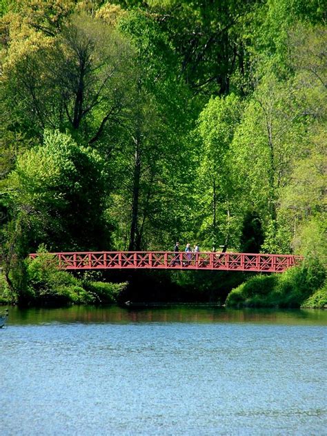 It's also open 24 hours a day so you can fish here anytime. The Best Places to Go Fishing in Maryland