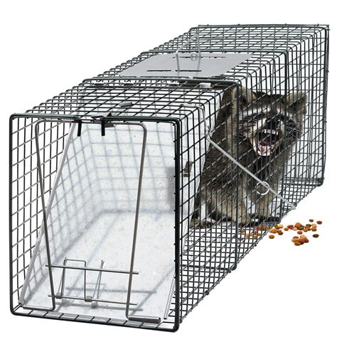 An excellent cat trap, possum trap, animal trap, magpie tra. OxGord Live Animal Trap 32" X 12" X 12" Catch Release ...