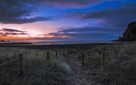 New Zealand Beach Grass Sunset Wallpaper Nature And Landscape