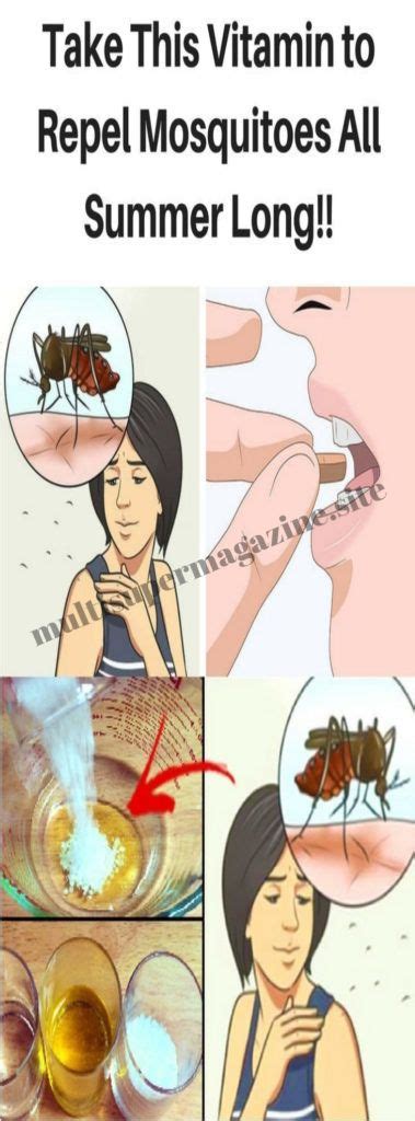 What vitamins and supplements are recommended during the summer season? Take This Vitamin to Repel Mosquitoes All Summer Long ...