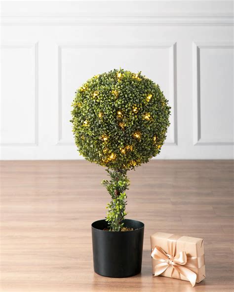 Outdoor Boxwood Topiary Balsam Hill Wreaths Greenery Smalltimothy