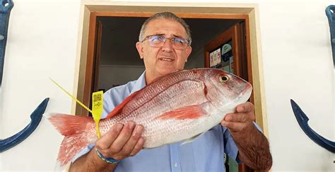 Pesca De Pargos Gigantes Tutorial De Pesca Deportiva Dia De Pesca