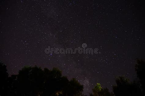 Beautiful Night Sky The Milky Way And The Trees Stock Image Image Of