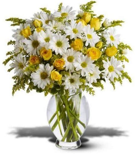 Homegrown in our raleigh, nc plant nursery, our healthy flora receive the tender loving care they need fairview garden center met our customers' needs through growing our business and moving from wholesale to retail services. The Flower District Glastonbury Ct: Silk Flowers Raleigh Nc