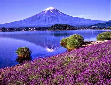 Fuji Five Lakes In Japan ~ Travel Republic