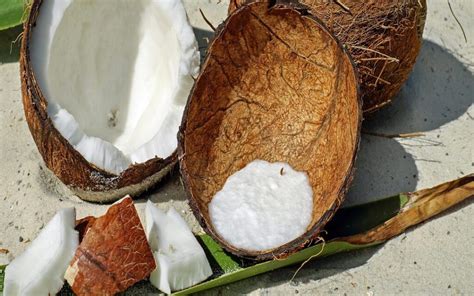 Coconut Meat Nutrition Facts And Health Benefits And Drawbacks