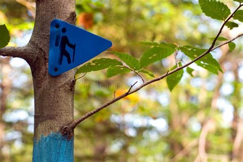Hiking Trail Marker On A Tree In A Forest Stock Image Image Of