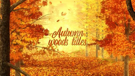 Videohive Autumn Woods Titles Intro Hd