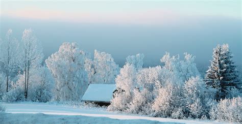 Deep Frozen Shot In Ringerike Norway Harald Gjerholm Flickr