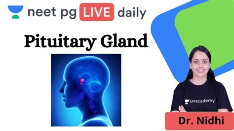 Neet Pg Endocrine System Pituitary Gland Unacademy Neet Pg Dr