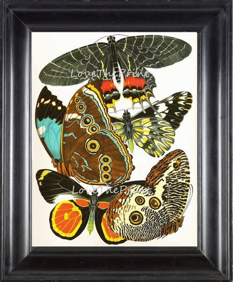Butterfly Print Botanical Art Print 1 Beautiful Antique Blue Etsy