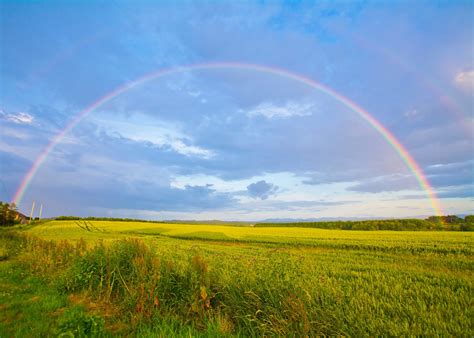 Rainbow After The Storm Popwe