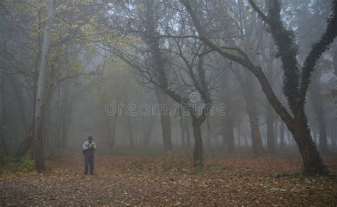 Lost Man In The Misty Forest Stock Photo Image Of Gray Fall 62385564