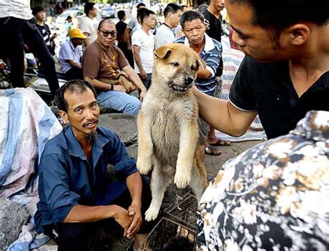 Eateries In Chinese Town Yulin Hold Dog Meat Festival Amid Protests