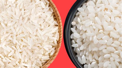 Whats The Difference Japanese Rice Vs Regular Rice