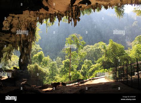 Entrance Of Big Cave In Niah National Park Borneo Malaysia Stock