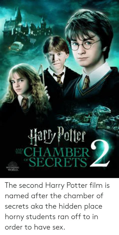 Harty Potter Chamber Secrets And The Wazar Word The Second Harry