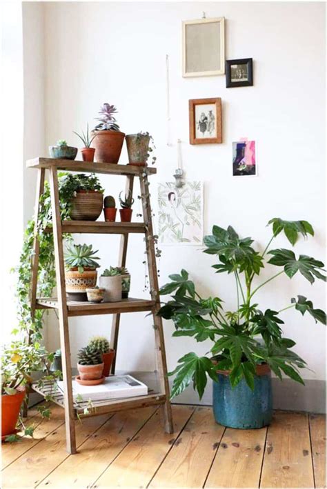 15 plant wall design ideas. Ideas of How to Display Indoor Plants Harmoniously