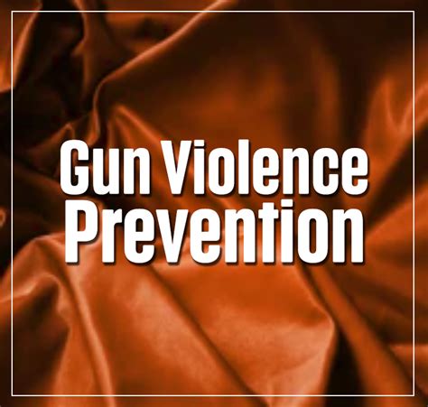 Gun Violence Prevention Suzanne Ness State Rep Illinois 66