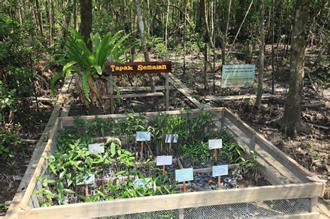 Unesco (pertubuhan pendidikan, sains dan kebudayaan pbb) telah menetapkan empat tapak warisan dunia di malaysia. Tapak Ramsar Johor: Tapak-Tapak Ramsar