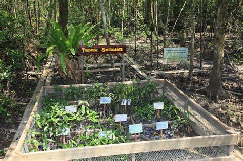 Kawasan ini telah diwartakan dibawah akta perhutanan negara 1984 dan diuruskan oleh jabatan perhilitan. Tapak Ramsar Johor: Tapak-Tapak Ramsar