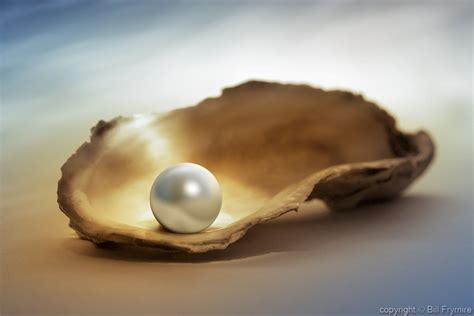 5 Facts About Pearls Bill Frymirebill Frymire