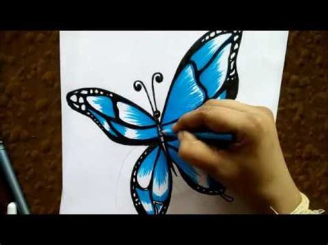 You have probably learned already the basic. How to draw realistic Butterfly for beginners step by step ...