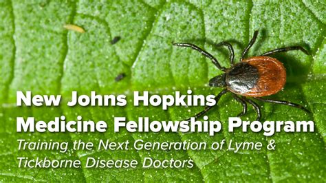 Lyme And Tickborne Disease Fellowship Program At The Johns Hopkins